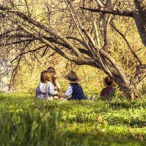 Meet your Posher, Elizabeth